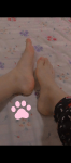 210470