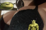 224803