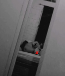 229636