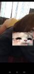 241786