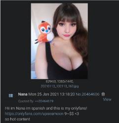 233816