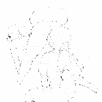 15811