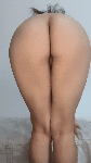 66543