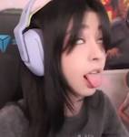 66044