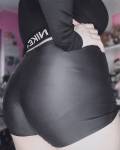 36044