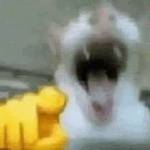 17098