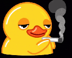 23090