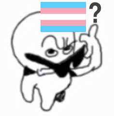 23554