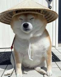 11715