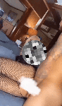 214806